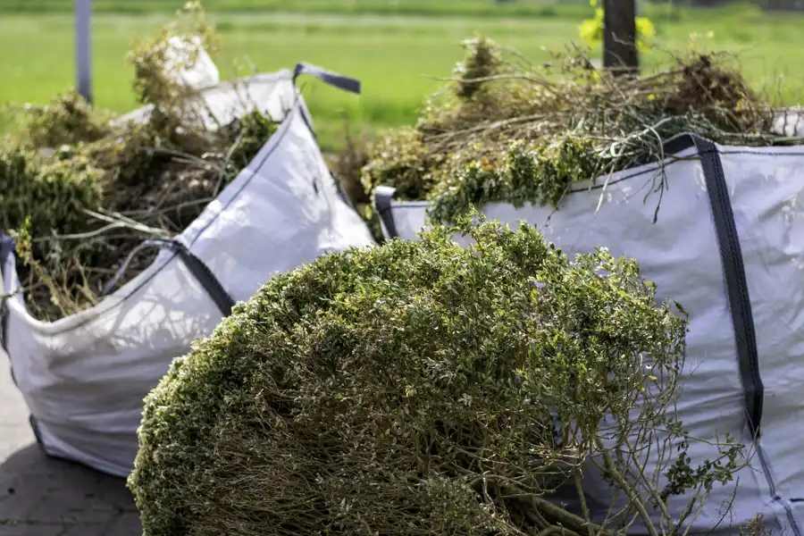 Yard waste prepared for hauling