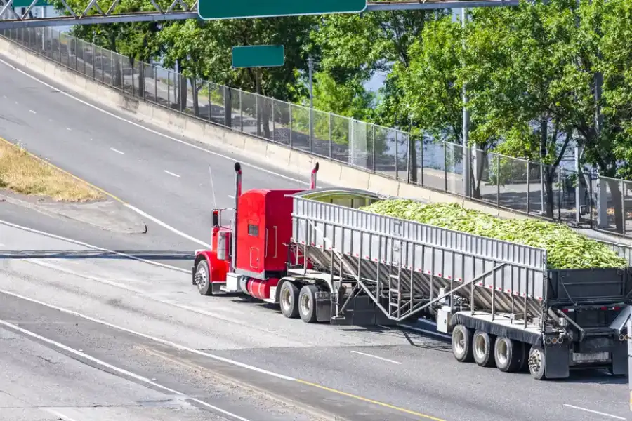 Excellent Trucking Services New Orleans, LA