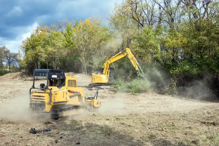Professional Land Clearing New Orleans, LA