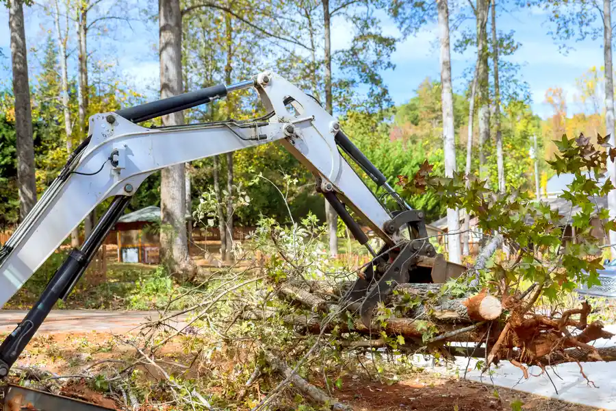 Top-rated Land Clearing New Orleans, LA